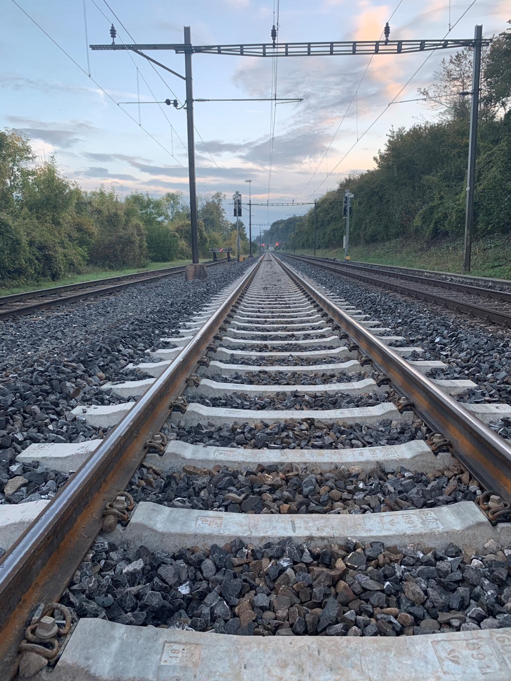 Des solutions durables pour les traverses de chemin de fer Vigier Rail Des solutions durables pour les traverses de chemin de fer Vigier Rail